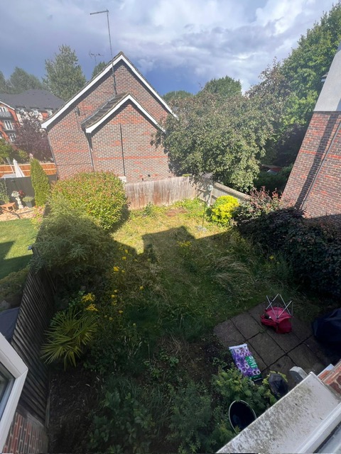 Garden transformation — before
